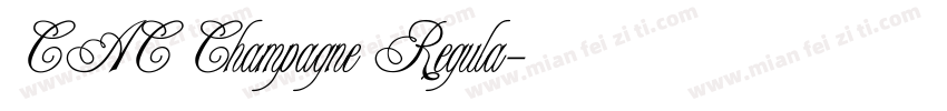 CAC Champagne Regula字体转换